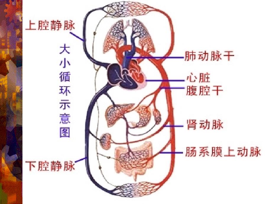 采血穿刺失败的原因及补救_第3页