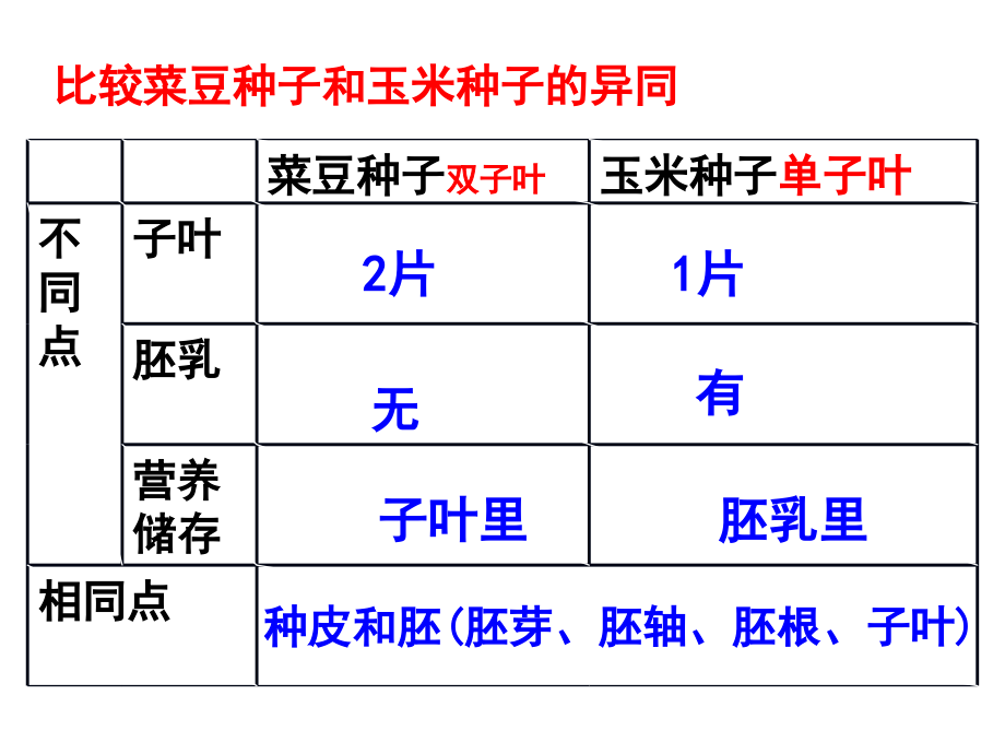 生物5章6章复习_第4页