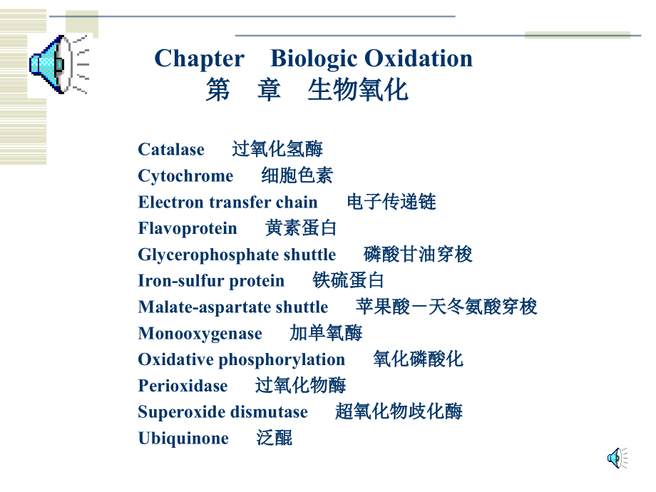 生物化学--生物氧化_第4页