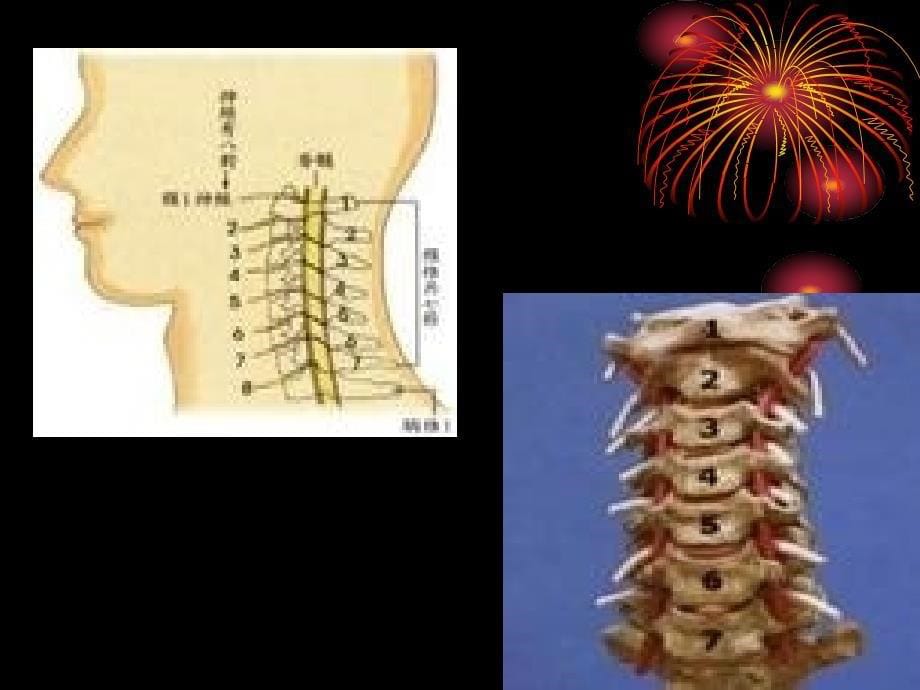 颈椎病的中医康复治疗_第5页