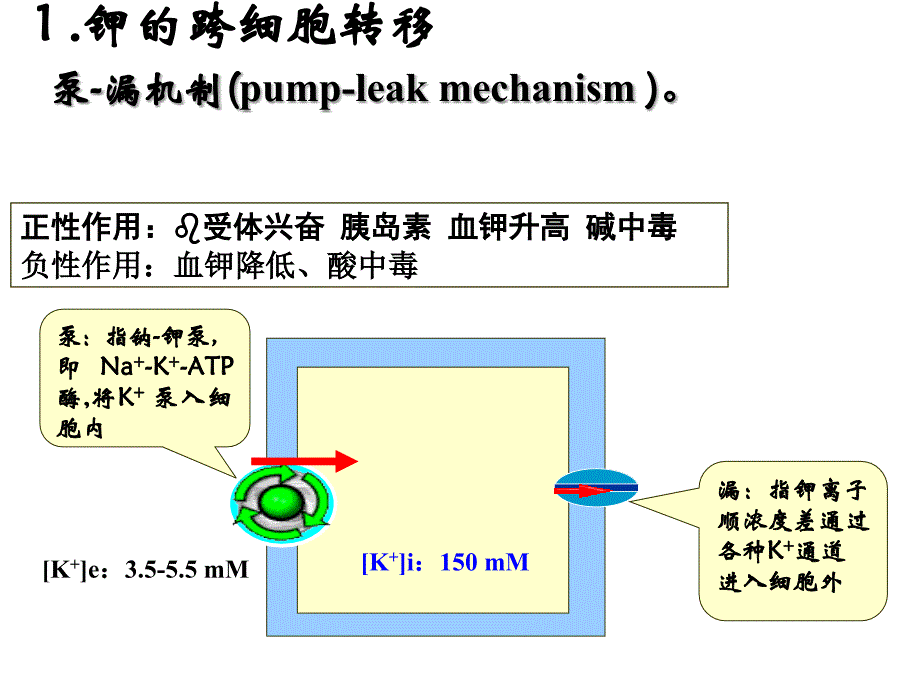 钾代谢障碍_第4页