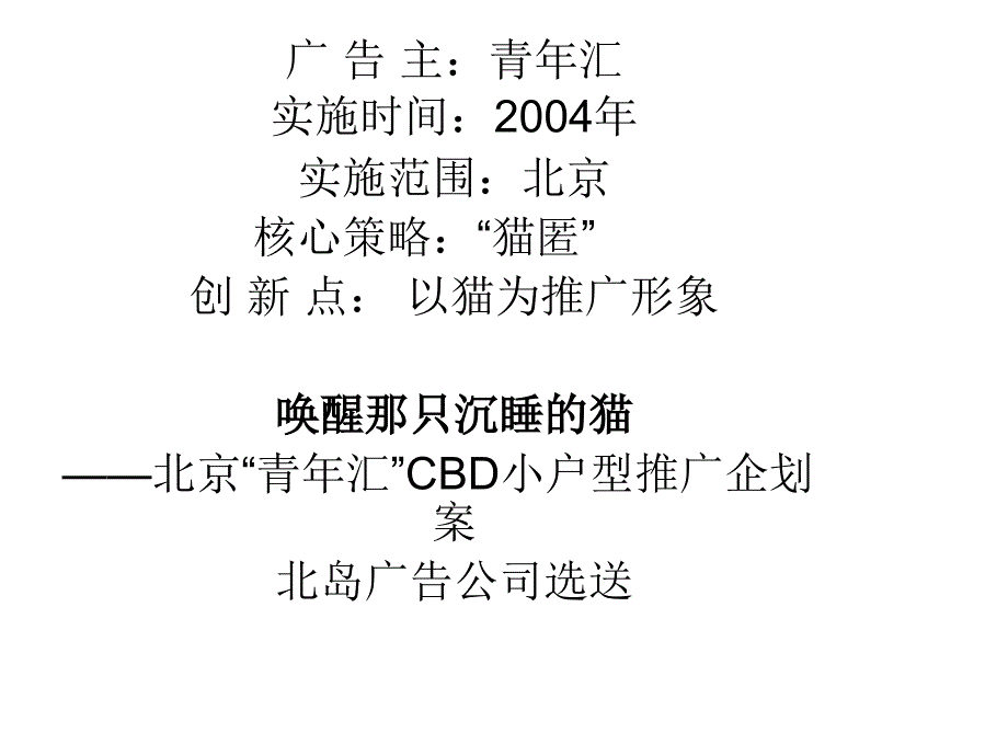 北京“青年汇”cbd小户型推广企划案_第1页