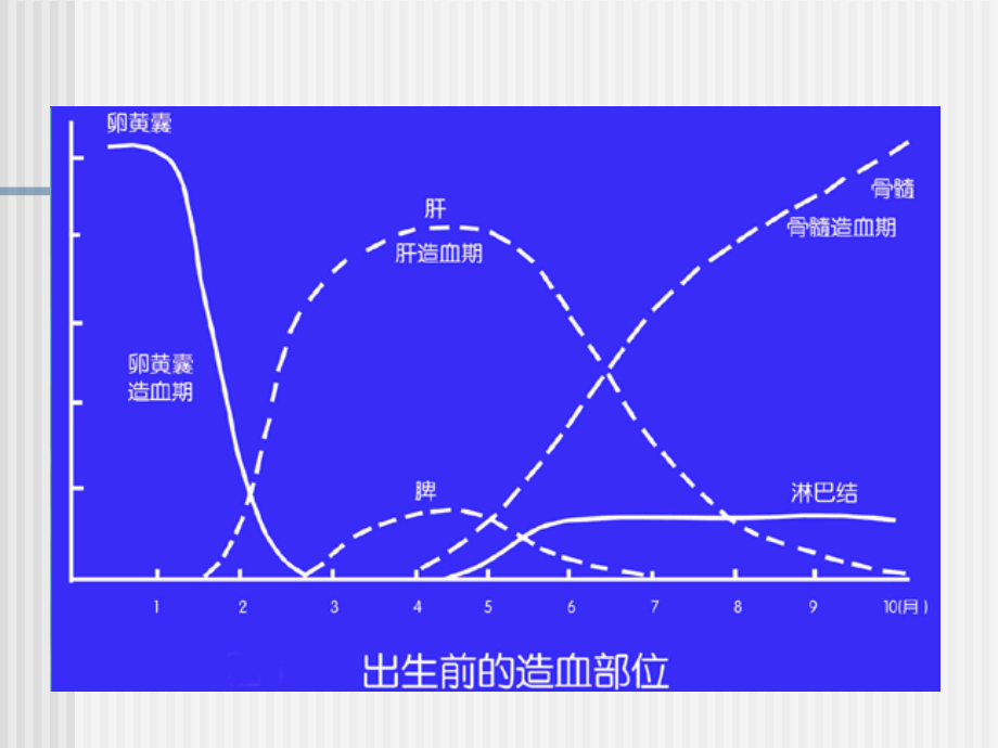 实验诊断学 绪论_第3页