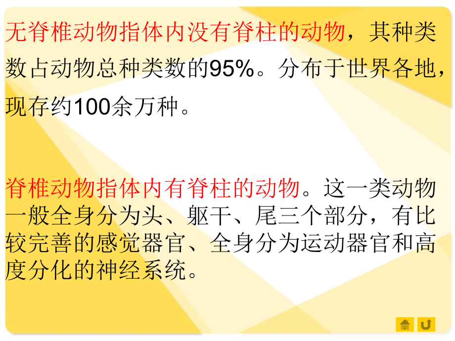 千姿百态的动物世界_第3页