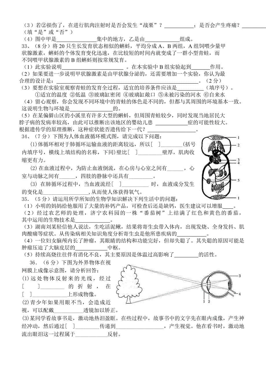 七下期末模拟2_第4页