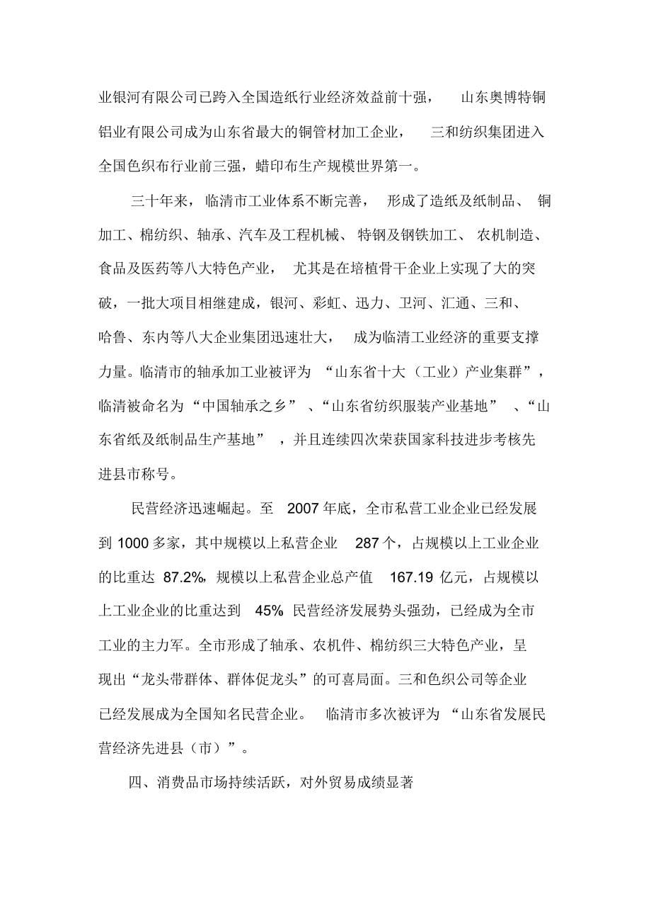 临清市改革开放三十年综述_第5页