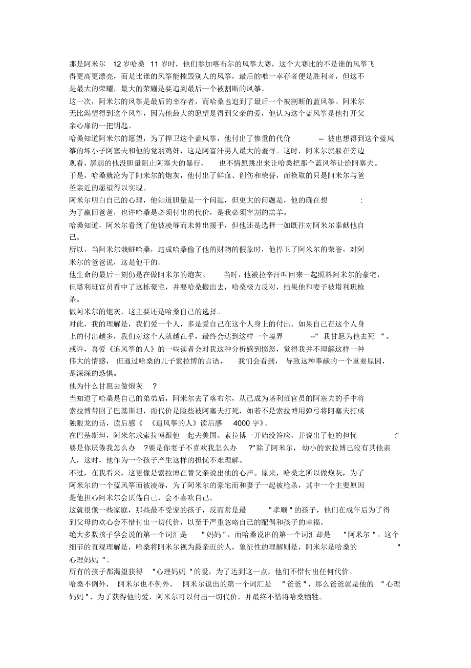 《追风筝的人》读后感4000字_第2页