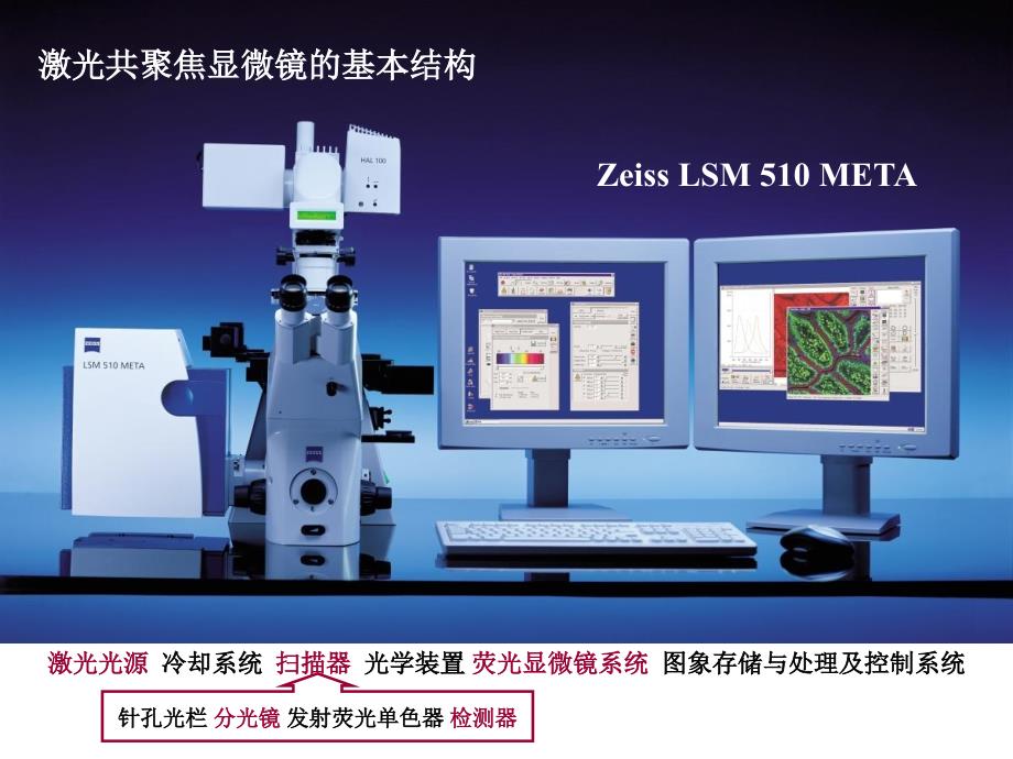 激光共聚焦技术_第2页