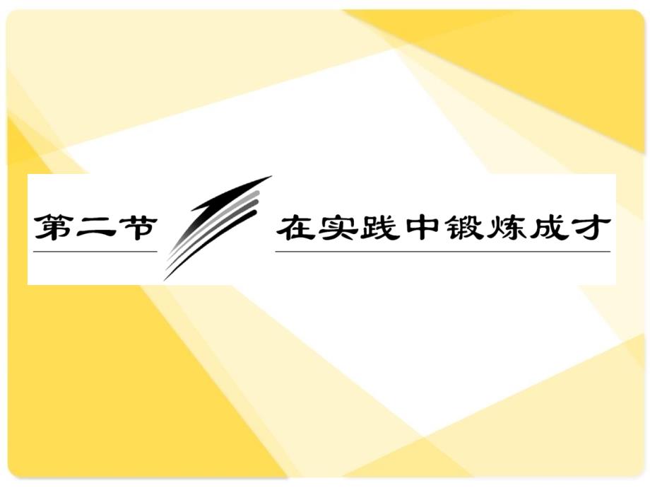 高三政治总复习课件：专题27：在实践中锻炼成才_第1页