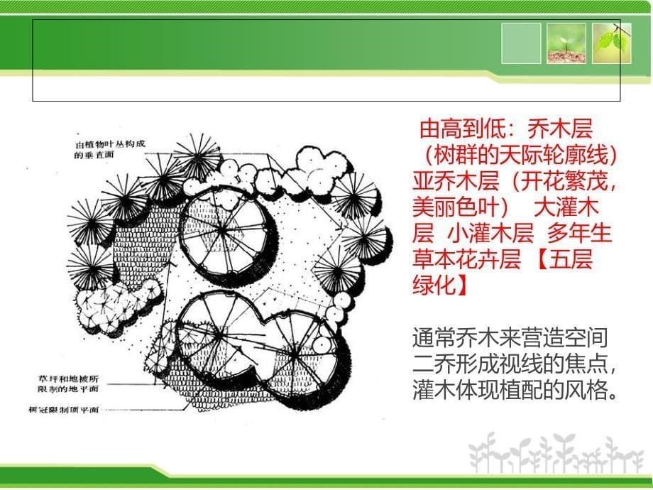 园林植物景观设计的图纸要求_第5页