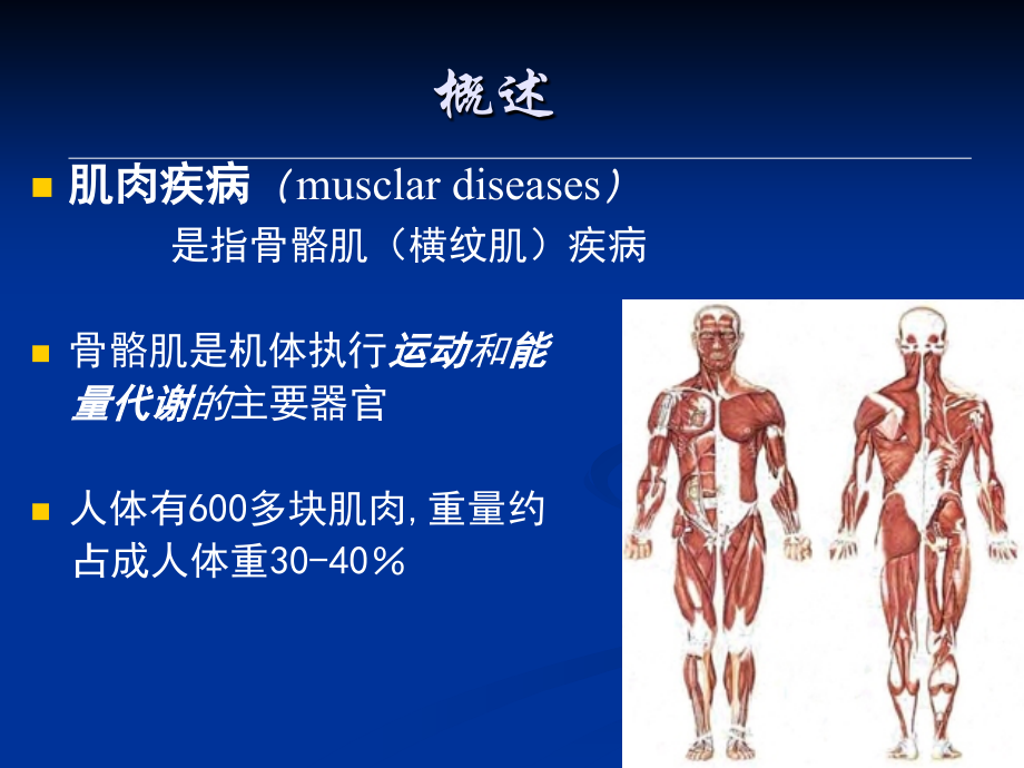 本科肌肉疾病_第3页