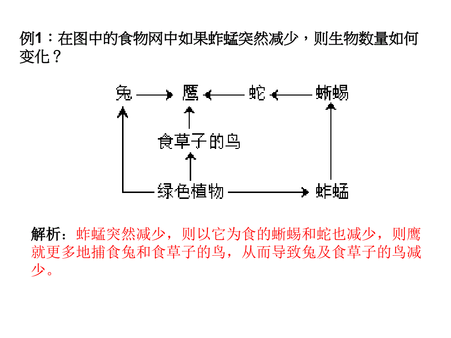 高中生物 食物网分析_第1页