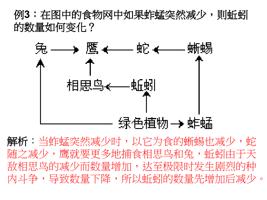 高中生物 食物网分析_第3页