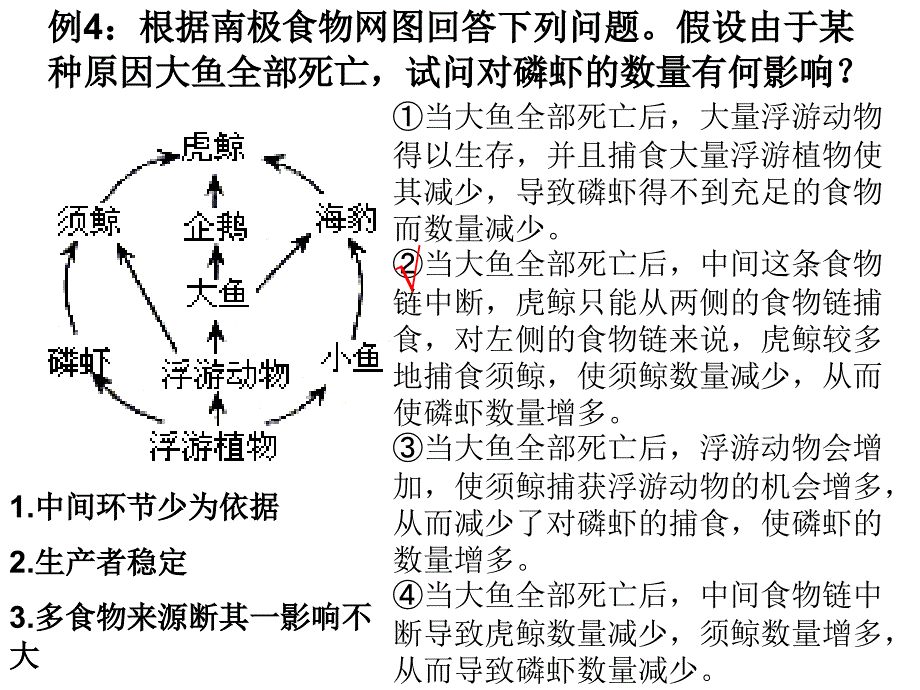 高中生物 食物网分析_第4页