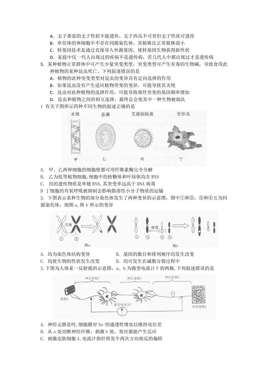 选择题12年模拟_第5页