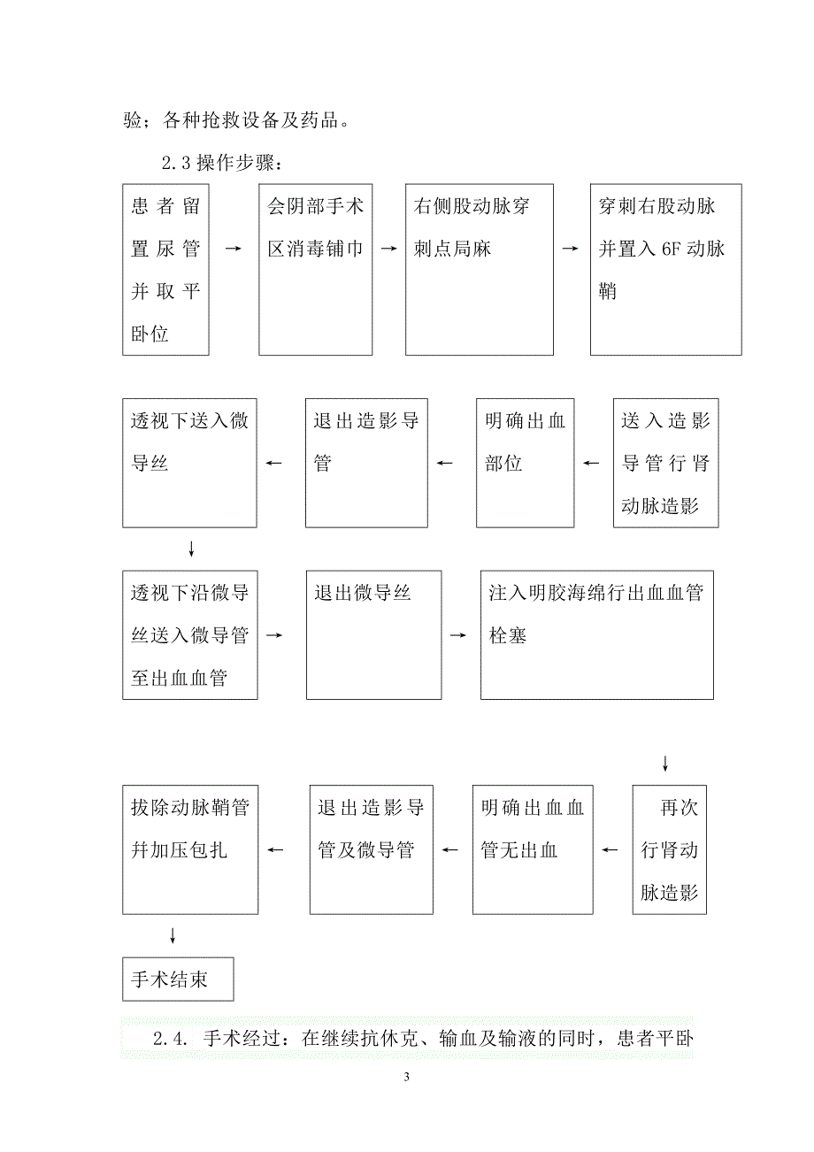 开展肾动脉栓塞的目的_第3页