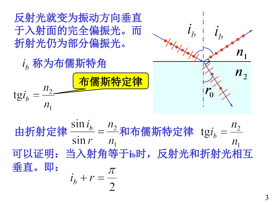 大学物理02反射和折射时的偏振光布儒斯特定律_第3页