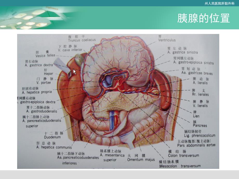 胰管结石病人护理_第4页