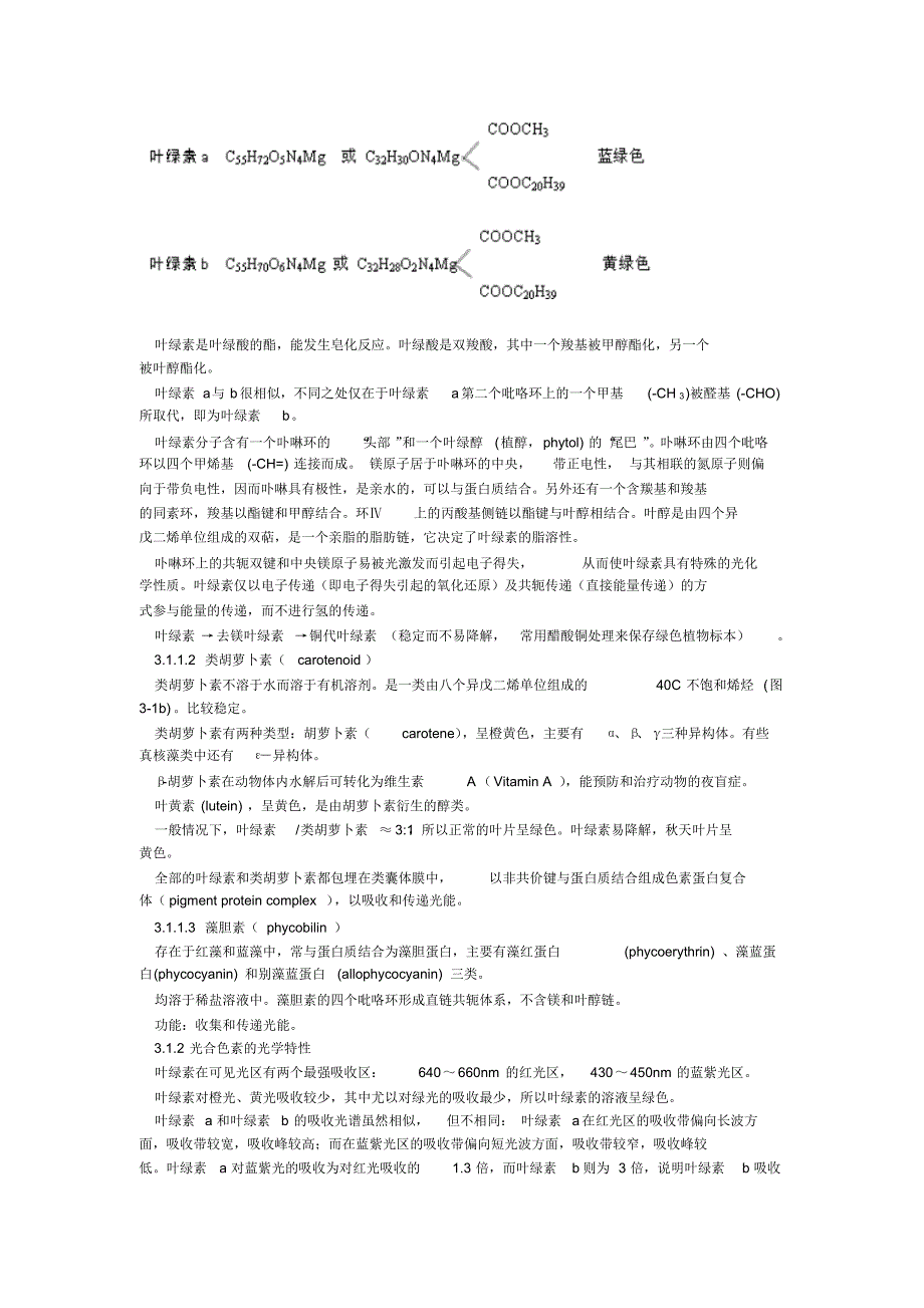 第4章植物的光合作用_第4页