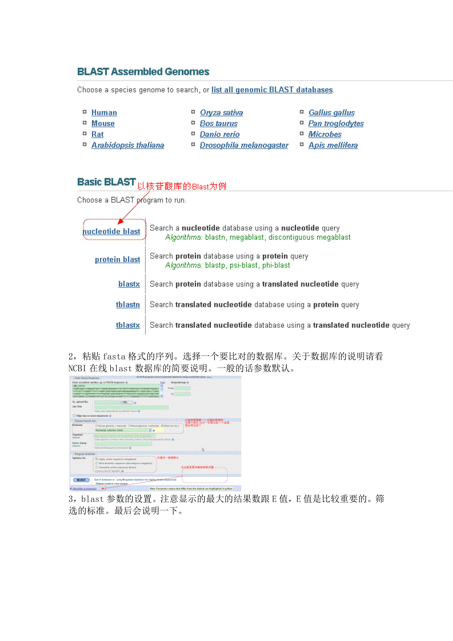 ncbi在线blast使用方法与结果详解_第2页