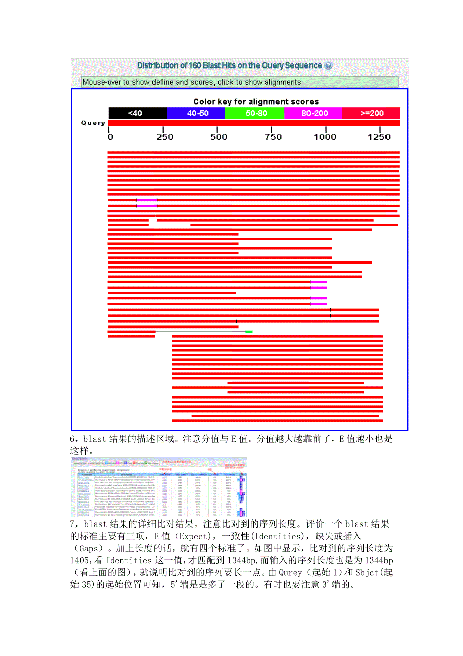 ncbi在线blast使用方法与结果详解_第4页