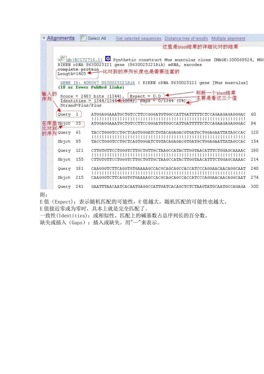 ncbi在线blast使用方法与结果详解_第5页