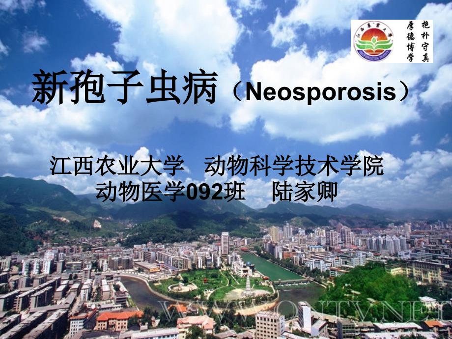 新孢子虫病(Neosporosis)_第1页