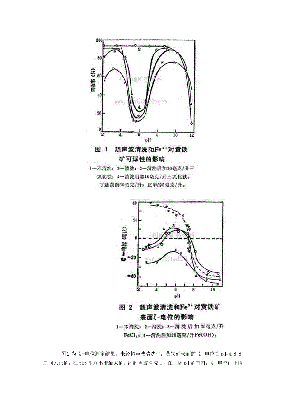 超声波清洗对黄铁矿表面性质的影响_第2页