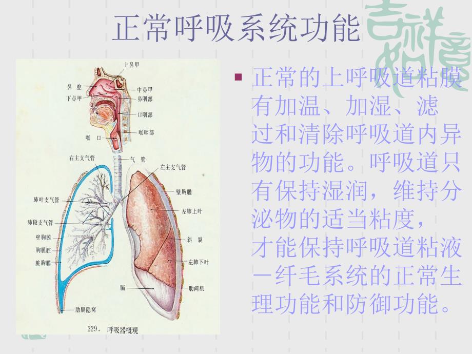 刘雯.气道管理_第3页