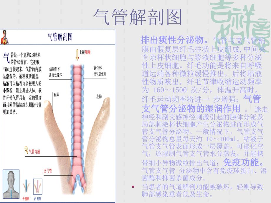 刘雯.气道管理_第4页