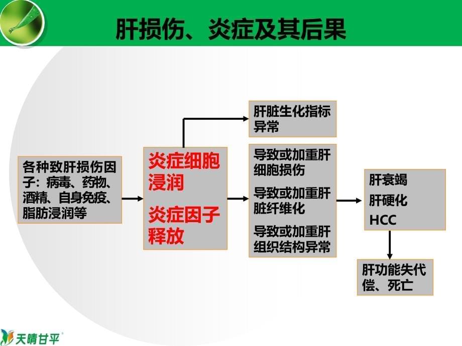 抗炎保肝治疗_郑州肝硬化医院_第5页