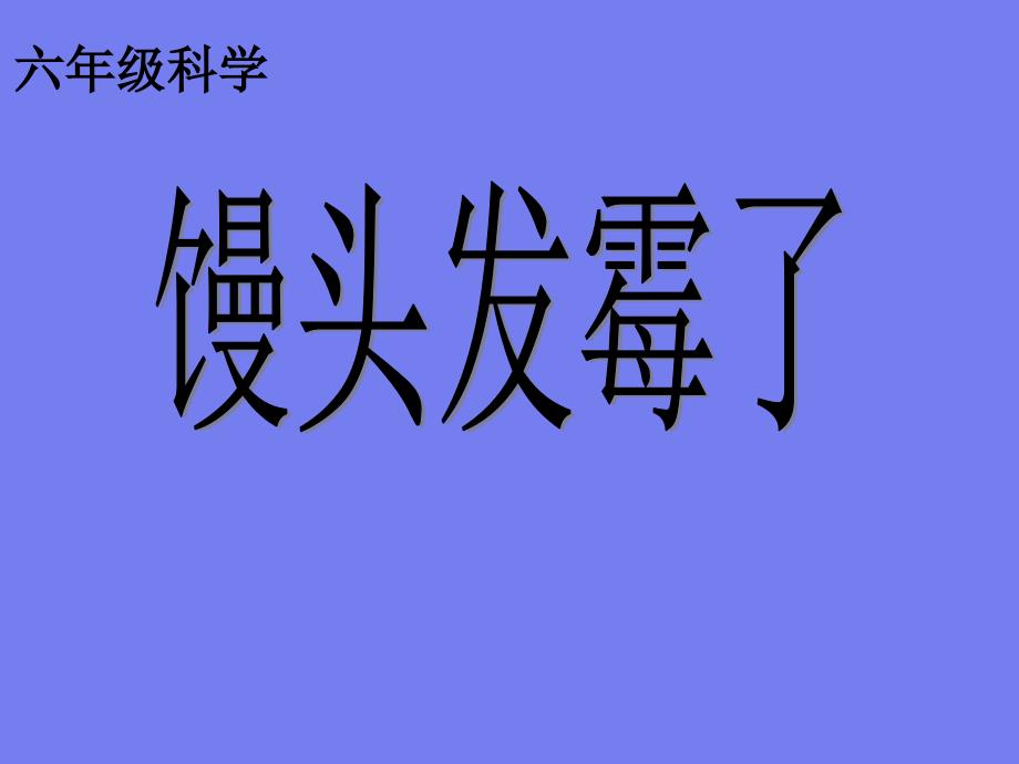 青岛版科学六年级上册馒头发霉了课件_第1页