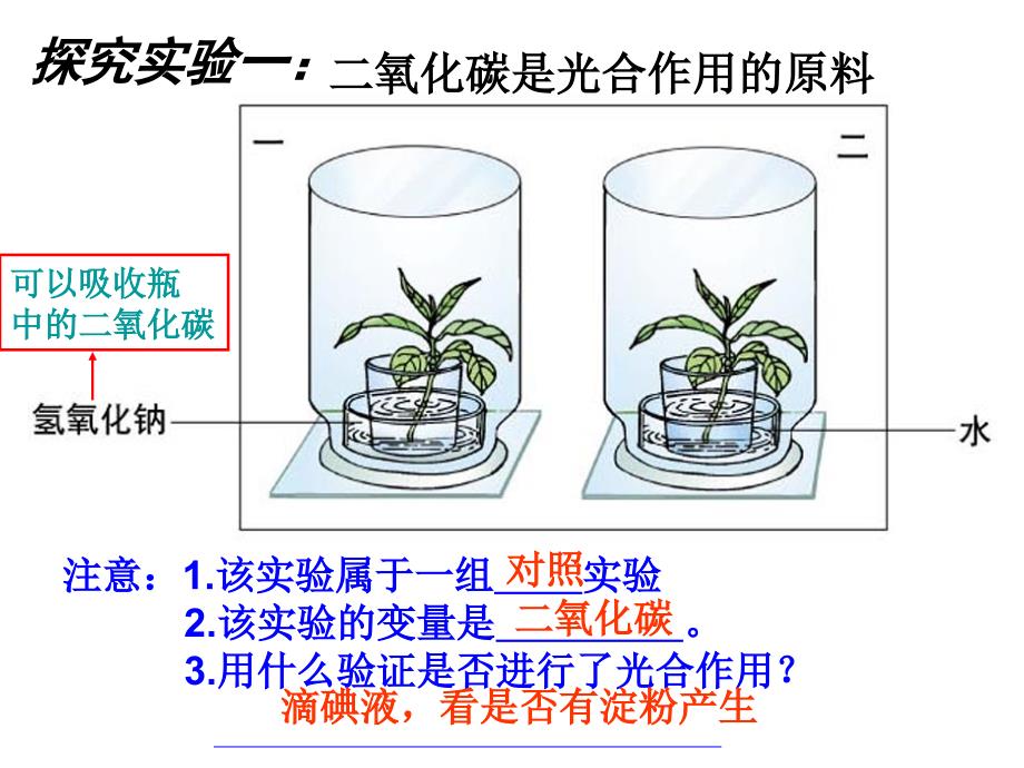 光合作用吸收氧气放出二氧化碳_第4页