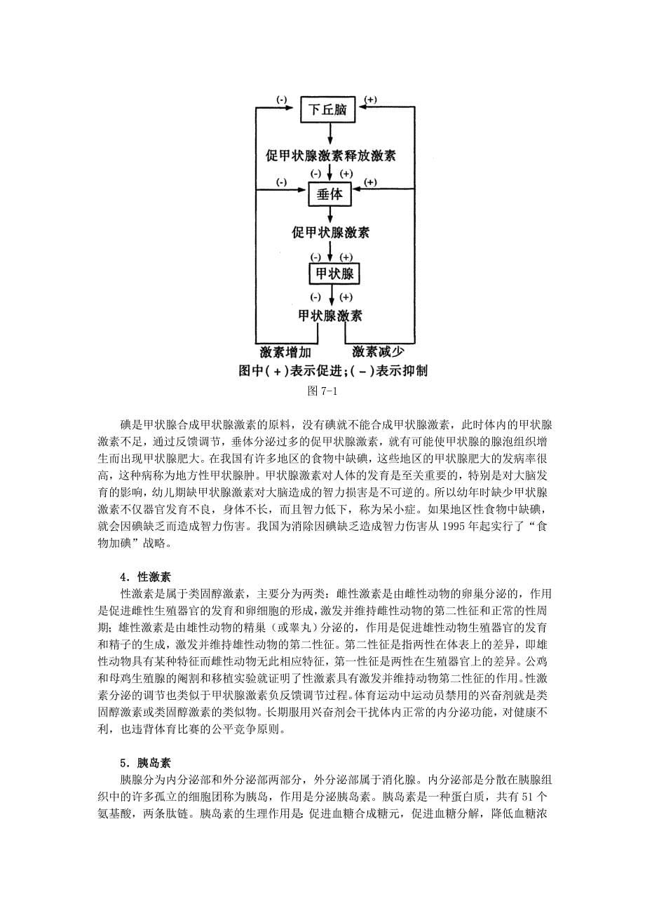 专题七 动物的新陈代谢及其调节1_第5页