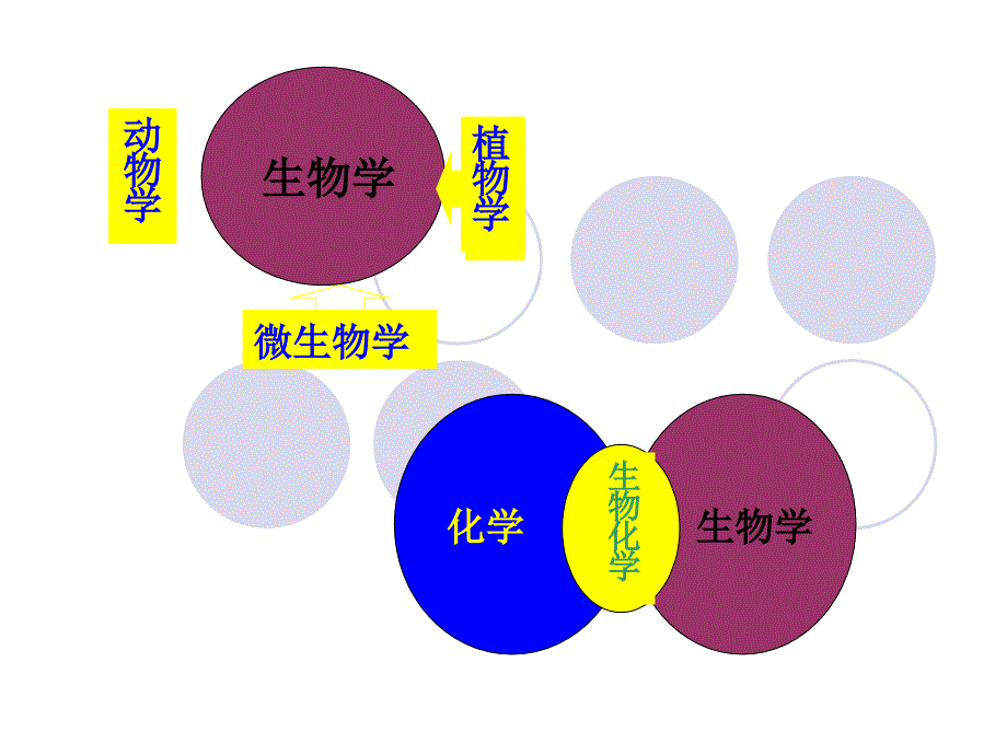 医学生物化学绪论_第2页