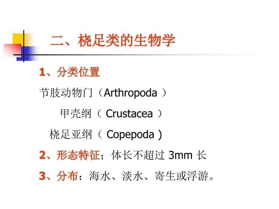 活饵料培育 桡足类原生水蚯蚓摇 [1]..._第5页