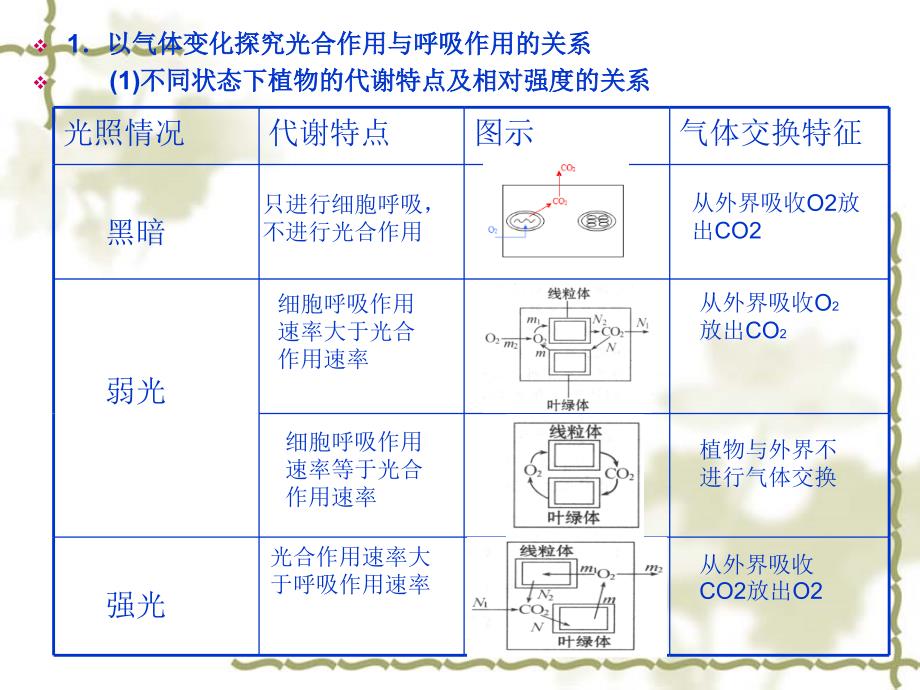 光合作用与呼吸作用的关系_第2页