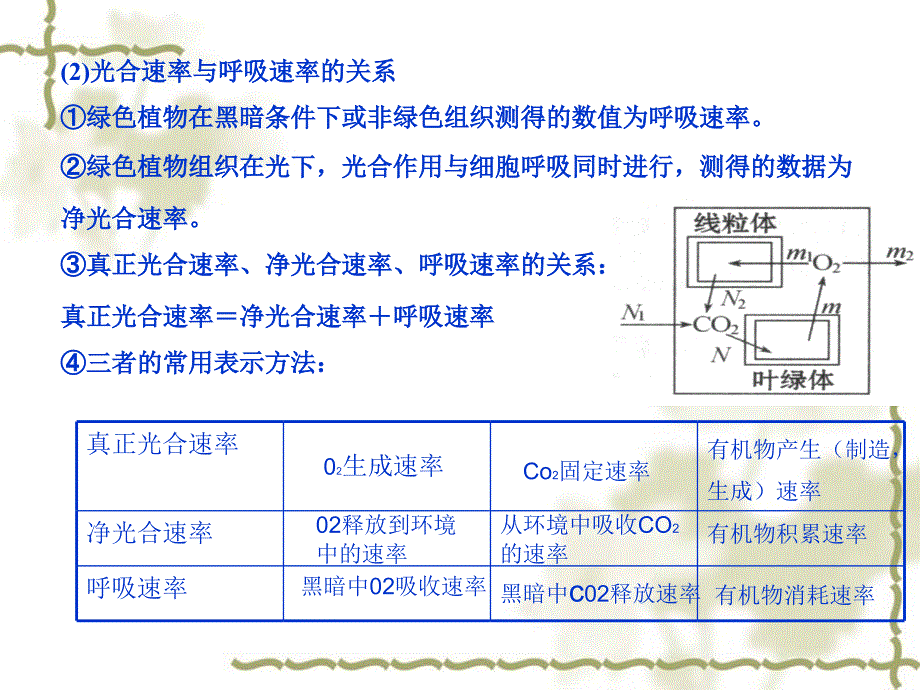 光合作用与呼吸作用的关系_第3页