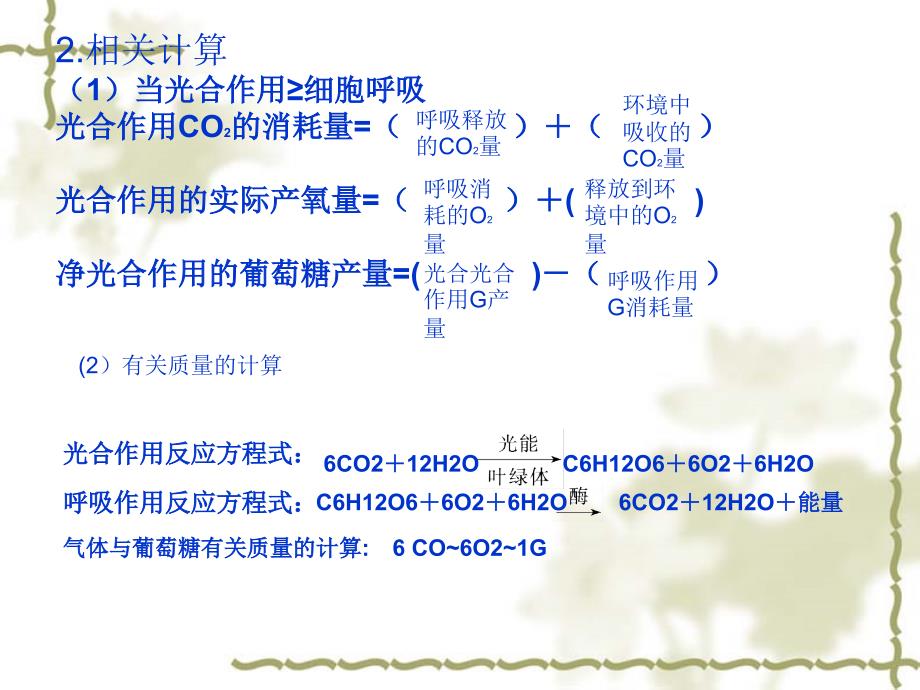 光合作用与呼吸作用的关系_第4页