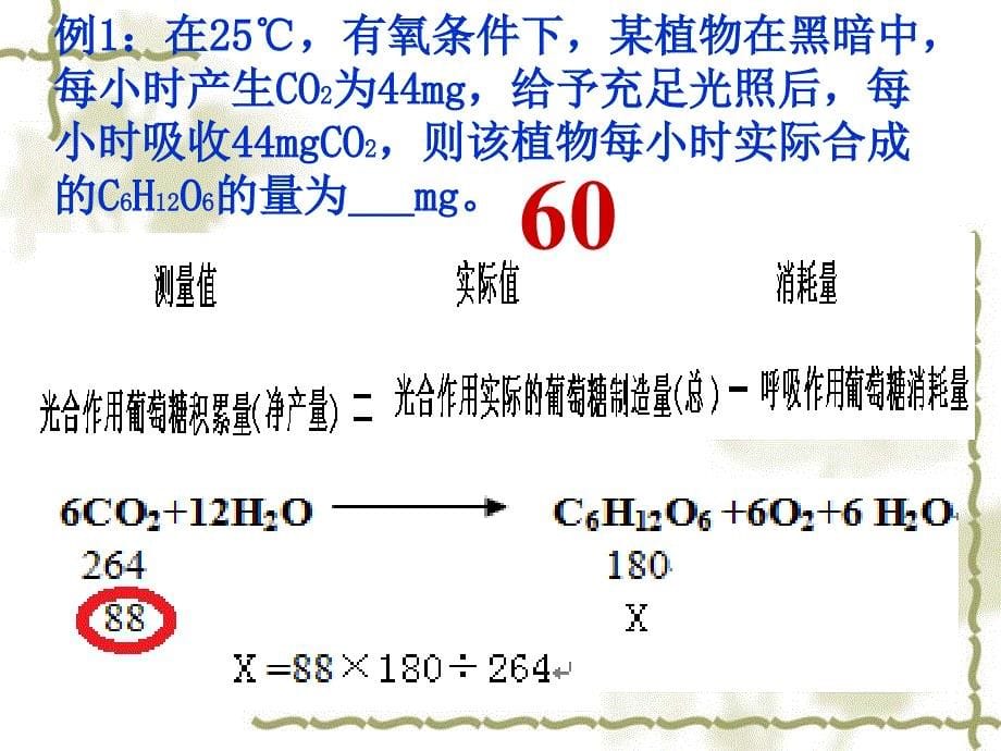 光合作用与呼吸作用的关系_第5页