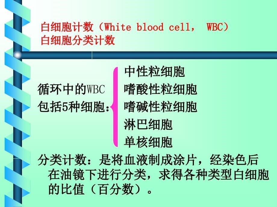 郑建波---三大常规检查_第5页