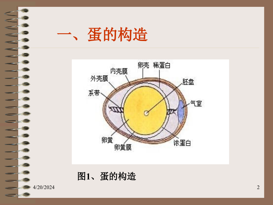 蛋的构造和品质测定_第2页