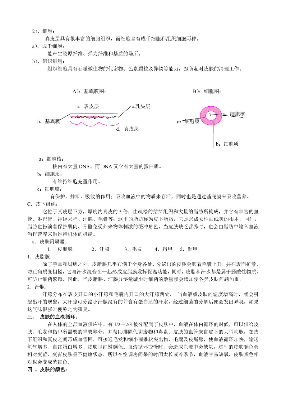 化妆品专卖店人员---皮肤知识、陈列、销售_第3页