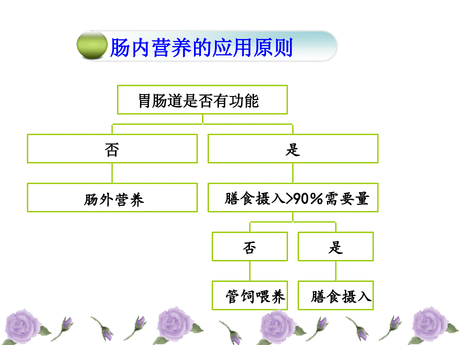 肠内营养及护理_第4页