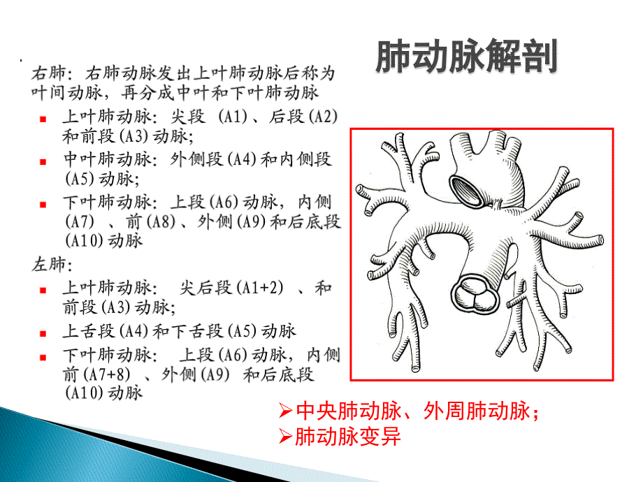 肺栓塞02-27_第2页