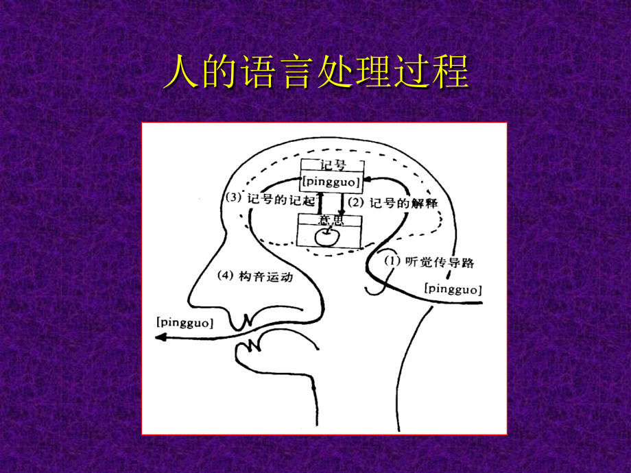 言语障碍的评定天坛医院_第4页