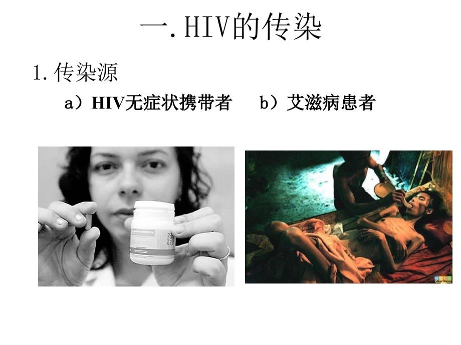 HIV的传染和致病_第2页