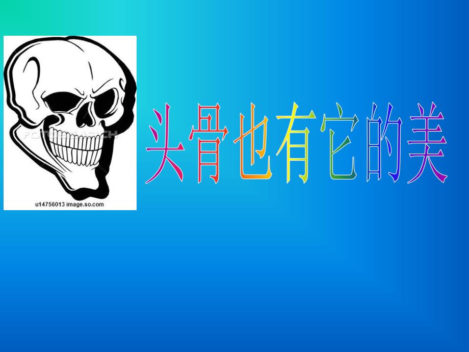 素描头部骨骼详解_第2页