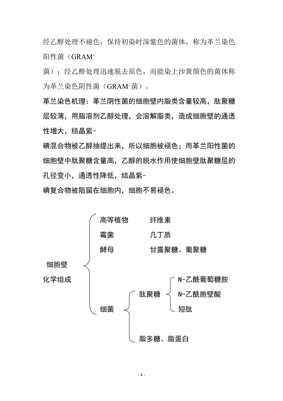 微生物的形态与分类_第4页