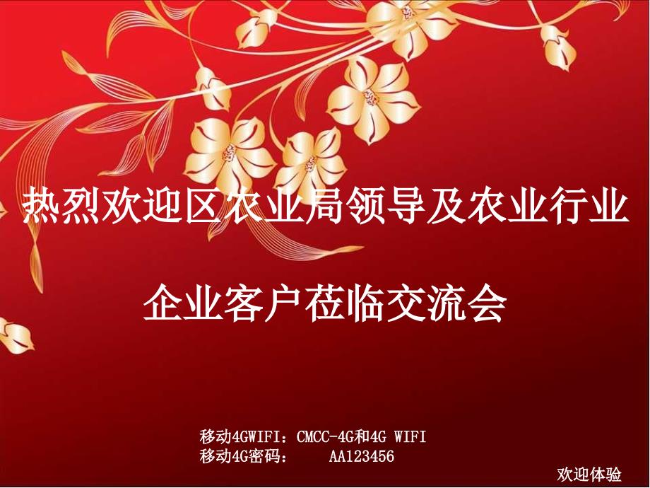 江夏农业互联网交流材料_第1页